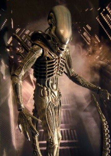 Xenomorph Toy