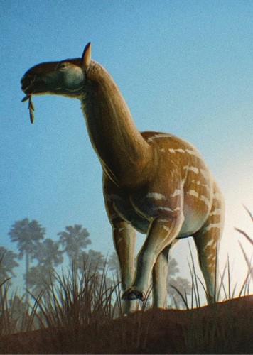 Xenorhinotherium