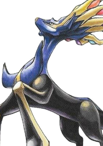 Xerxer (English Dub)