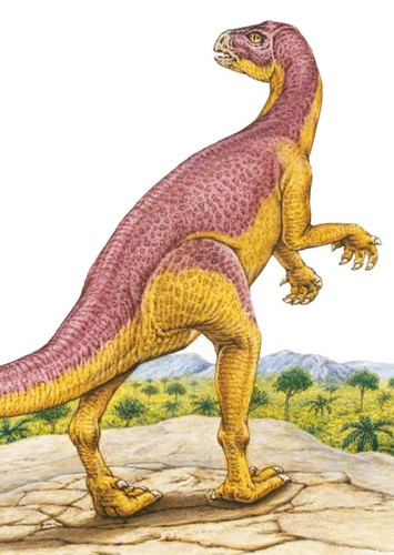 Xiaosaurus