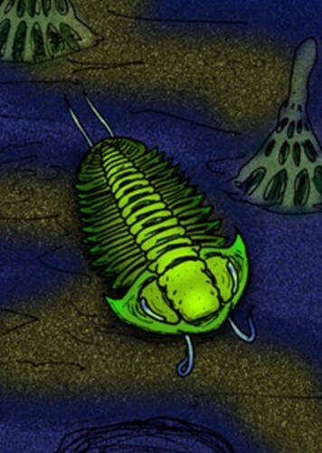 Xiuqiella