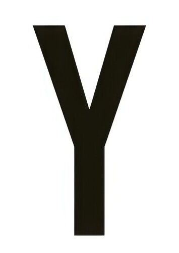Y