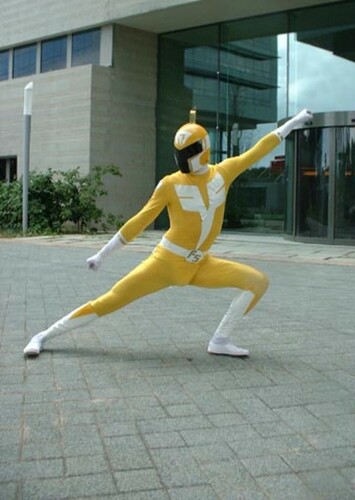 Yellow Baguette Ranger