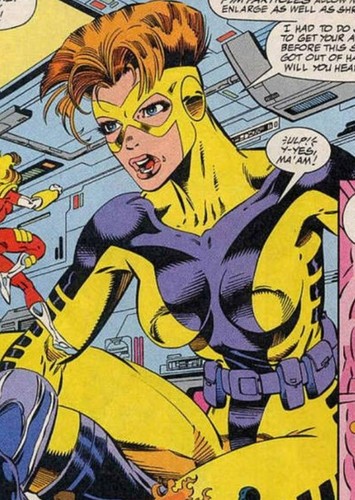 Yellow Jacket II