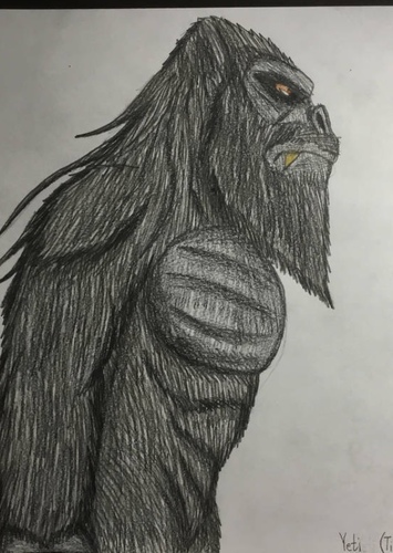 Yeti