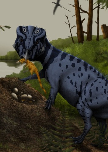 Yinlong