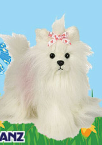 Yorkie