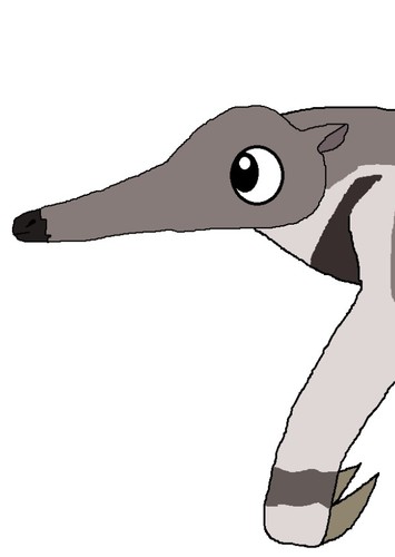 Young Giant Anteater