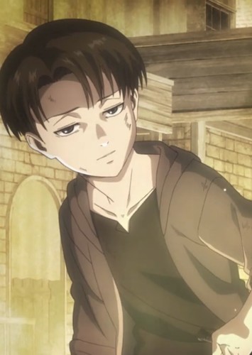 Young Levi