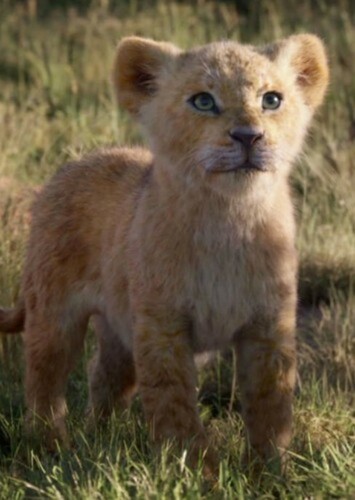 Young Nala