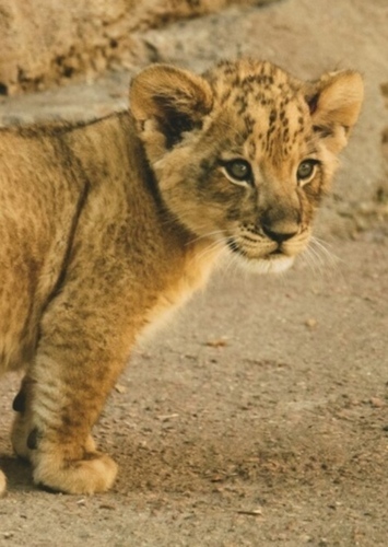 Young Samson