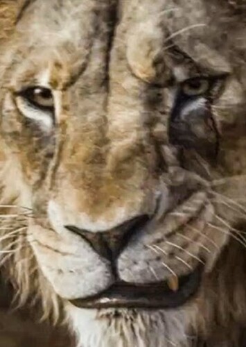 Young Scar