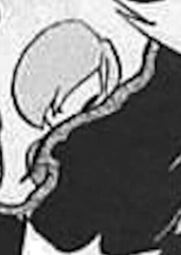 Young Sham (English Dub)