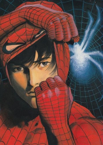 Spider-Man (The Manga)