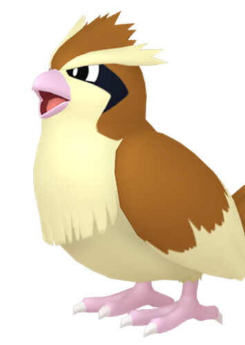Zach's Pidgey (English Dub)