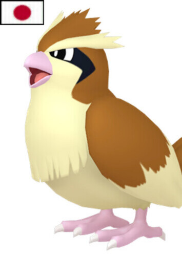 Zach's Pidgey (Japanese)