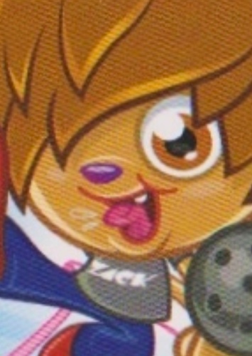 Zack Binspin