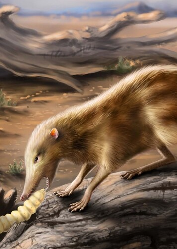 Zalambdalestes