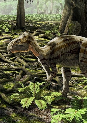 Zalmoxes