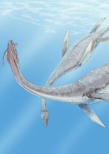 Zarafasaura