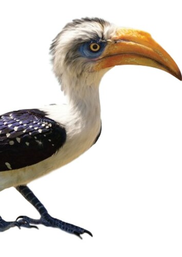 Zazu