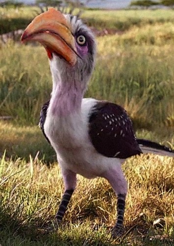 Zazu's Girlfriend