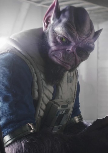 Zeb