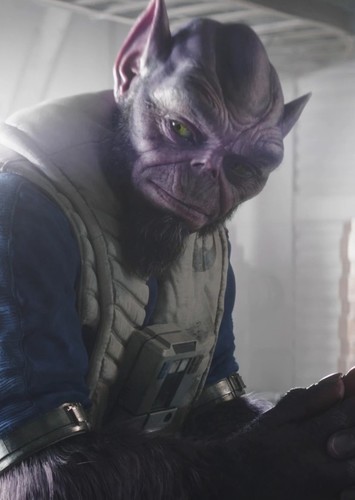 Zeb