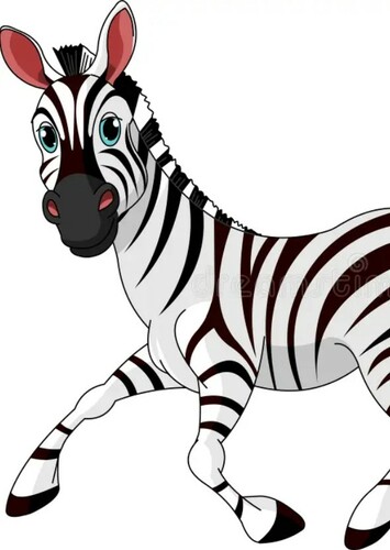 Zebra
