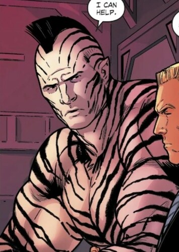 Zebra Man