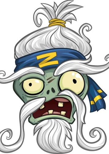 Zen Sensei