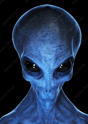 Zeta Reticulans