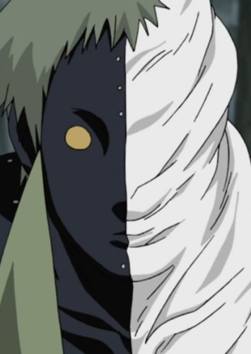 Zetsu (White and Black)
