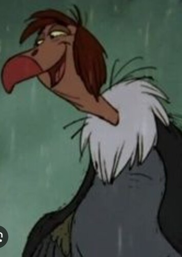 Ziggy The Vulture