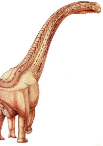 Zigongosaurus