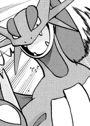 Zinnia's Salamence (English Dub)
