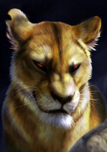 Zira