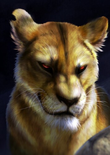 Zira