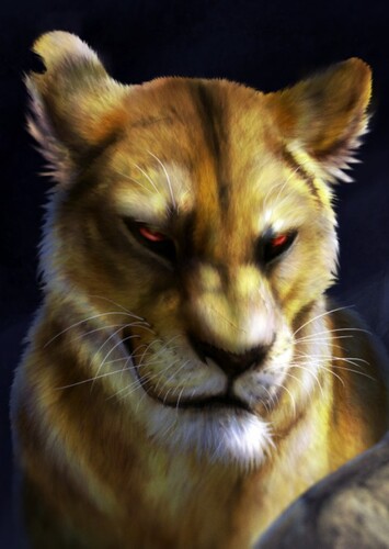 Zira