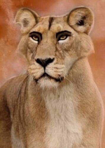 Zira