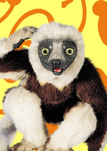 Zoboo