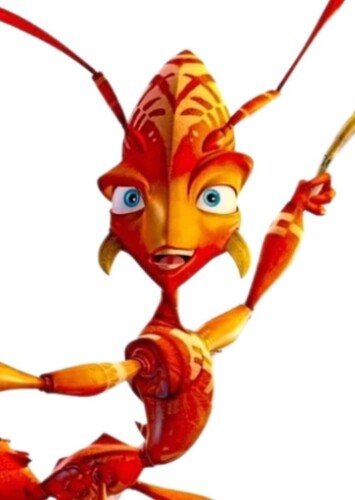 Zoc