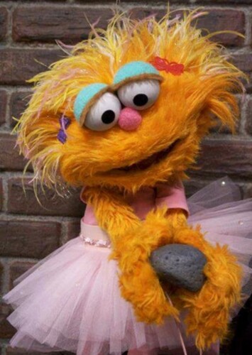 Zoe’s Amazing Pet Rock