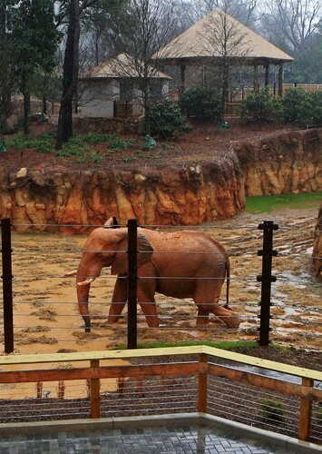Zoo Atlanta