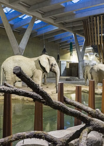 Zoo Basel