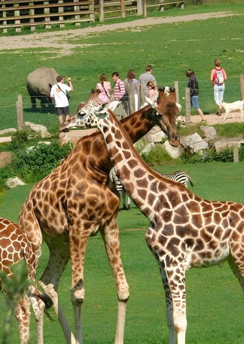 Zoo de Cerza