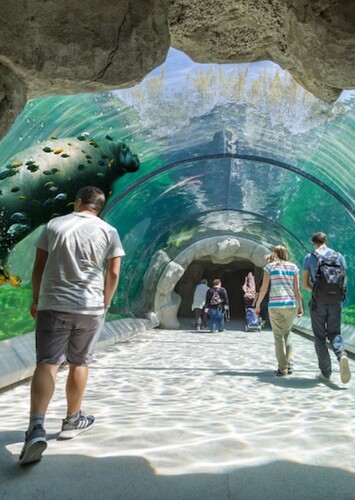 Zoo Frankfurt