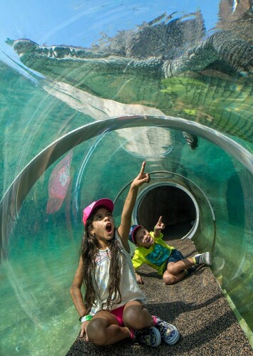 Zoo Miami