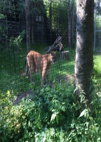 Zoo New York at Thompson Park