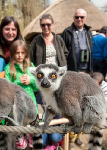 Zoo Plackendael